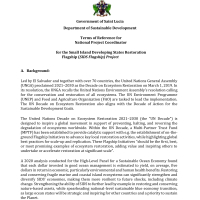 Government of Saint Lucia - National Project Coordinator for the Small Island Developing States Restoration Flagship (SIDS Flagship) Project